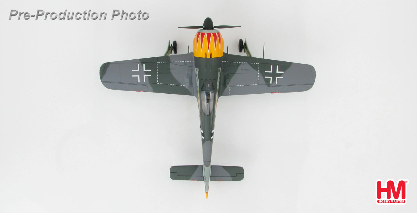 HOBBY MASTER FW-190A LUFTWAFFE JG 2 RICHTOFEN HERMANN GRAF FRANCE 1943