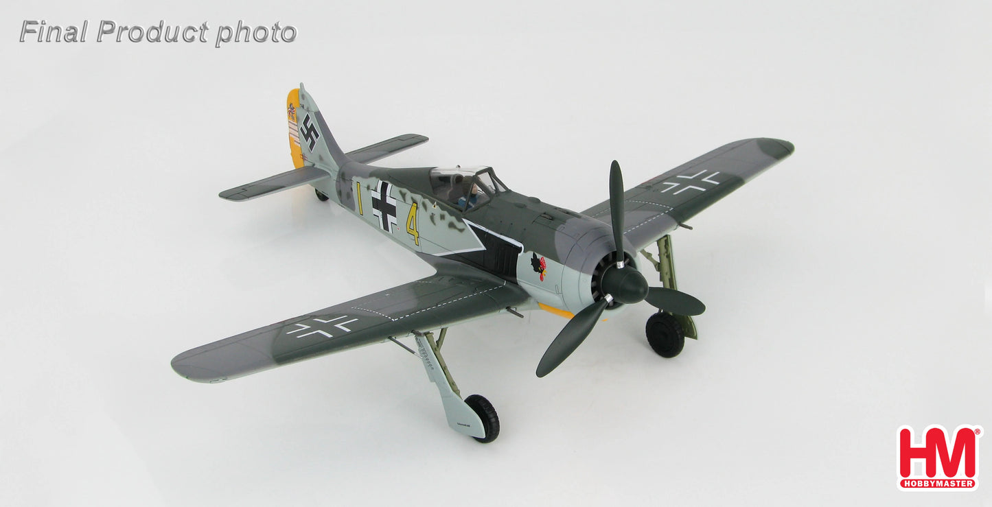 HOBBY MASTER FW 190A 9./JG 2 SIEGFRIED SCHNELL 1943