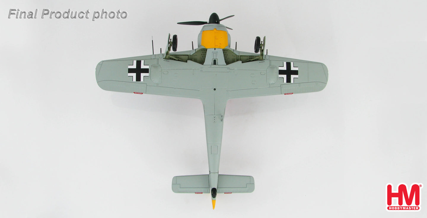 HOBBY MASTER FW 190A 9./JG 2 SIEGFRIED SCHNELL 1943