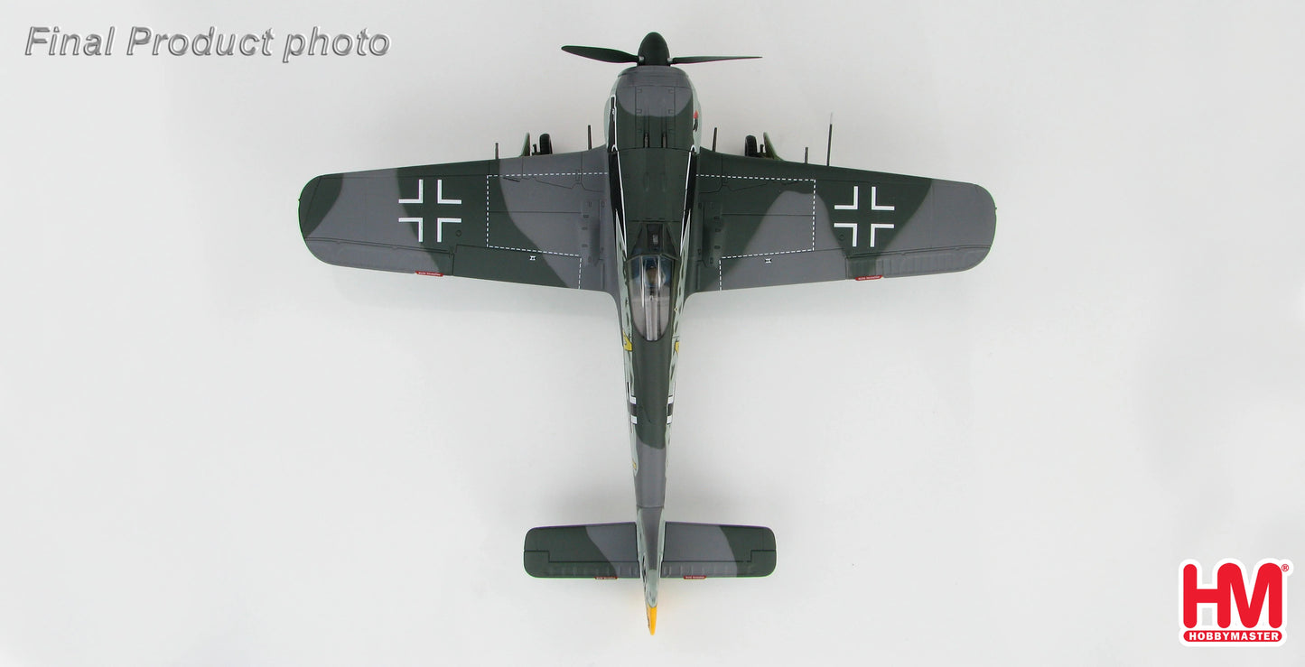 HOBBY MASTER FW 190A 9./JG 2 SIEGFRIED SCHNELL 1943
