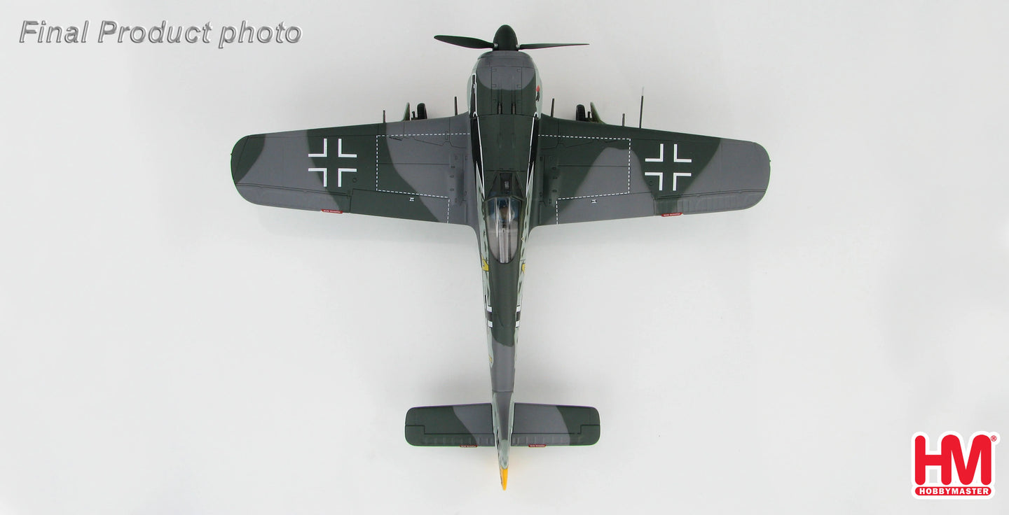 HOBBY MASTER FW 190A 9./JG 2 SIEGFRIED SCHNELL 1943