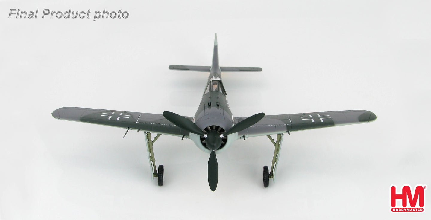 HOBBY MASTER FW 190A 9./JG 2 SIEGFRIED SCHNELL 1943