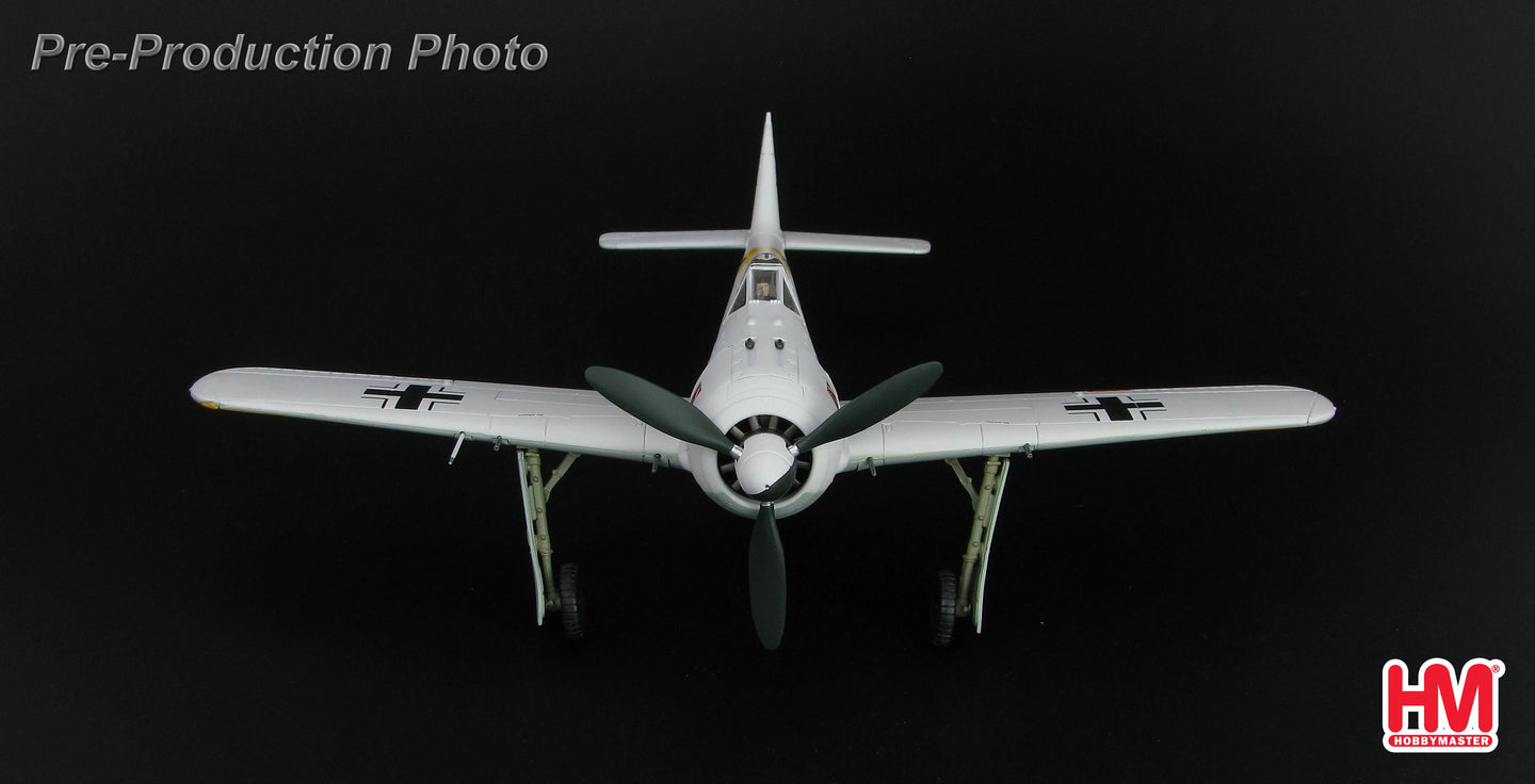 HOBBY MASTER FW 190A, 1./JG 54 GRUNHERZ WALTER NOWOTNY