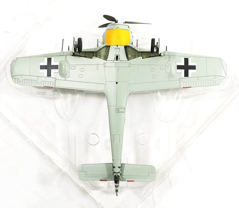 HOBBY MASTER FOCKE WULF 190A-4 6./JG 1