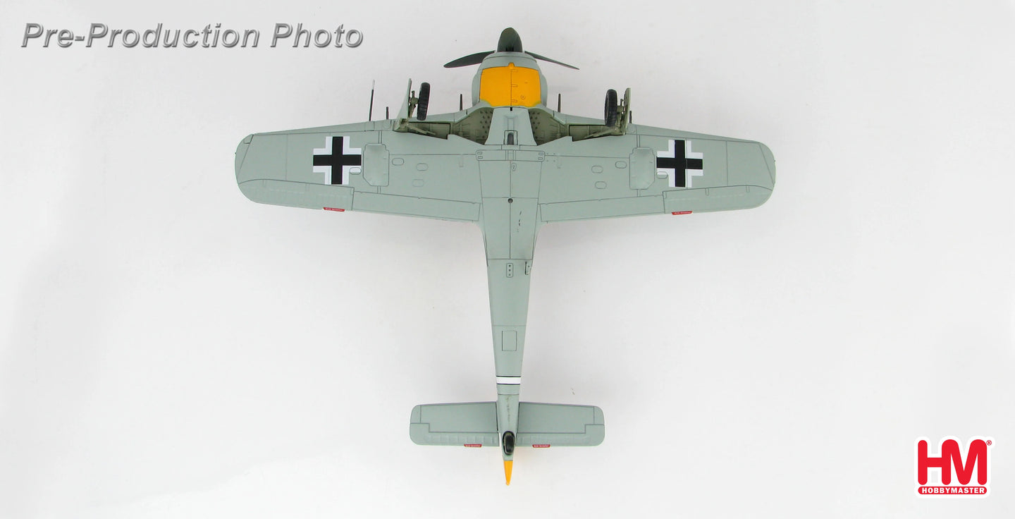 HOBBY MASTER FW 190A EGON MAYER FRANCE 1943