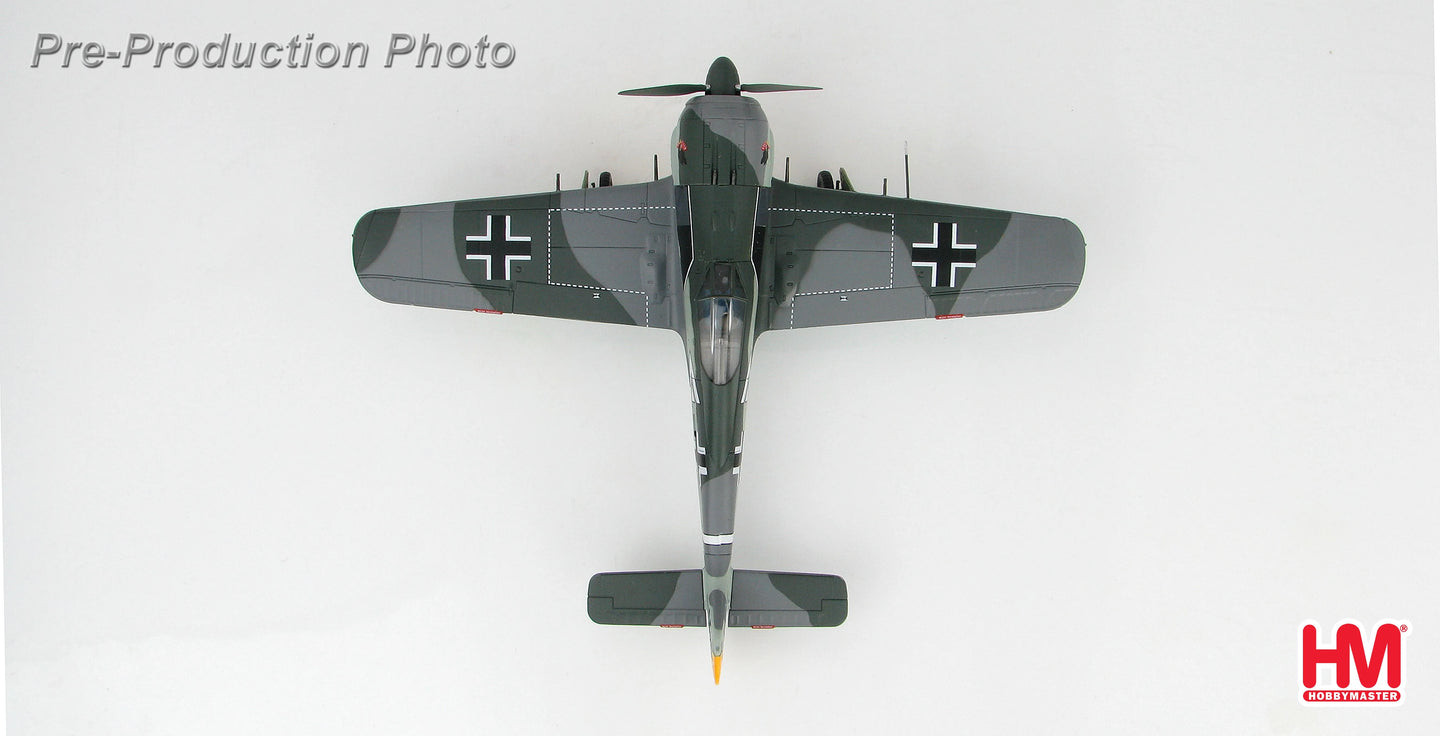 HOBBY MASTER FW 190A EGON MAYER FRANCE 1943