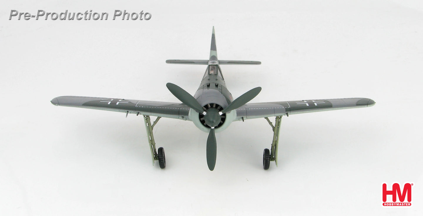 HOBBY MASTER FW 190A EGON MAYER FRANCE 1943