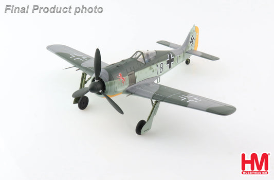 HOBBY MASTER FW-190A-4 FLOWN BY FW.R.EISELE 8/JG 2 BREST-GUIPAVAS FRANCE 1943