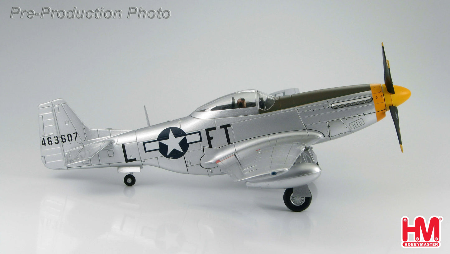 HOBBY MASTER P-51D MUSTANG USAAF 354TH FG