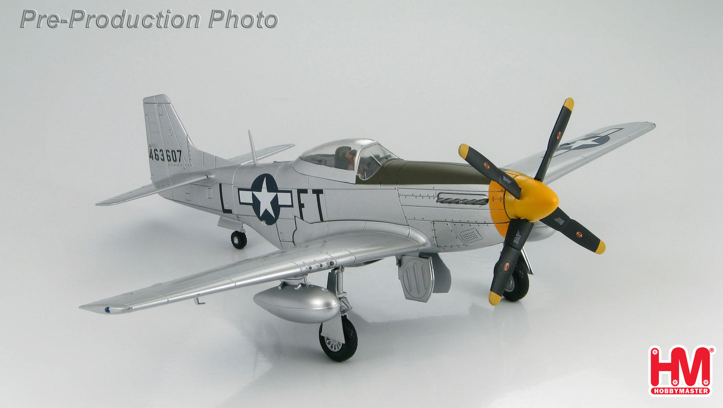 HOBBY MASTER P-51D MUSTANG USAAF 354TH FG