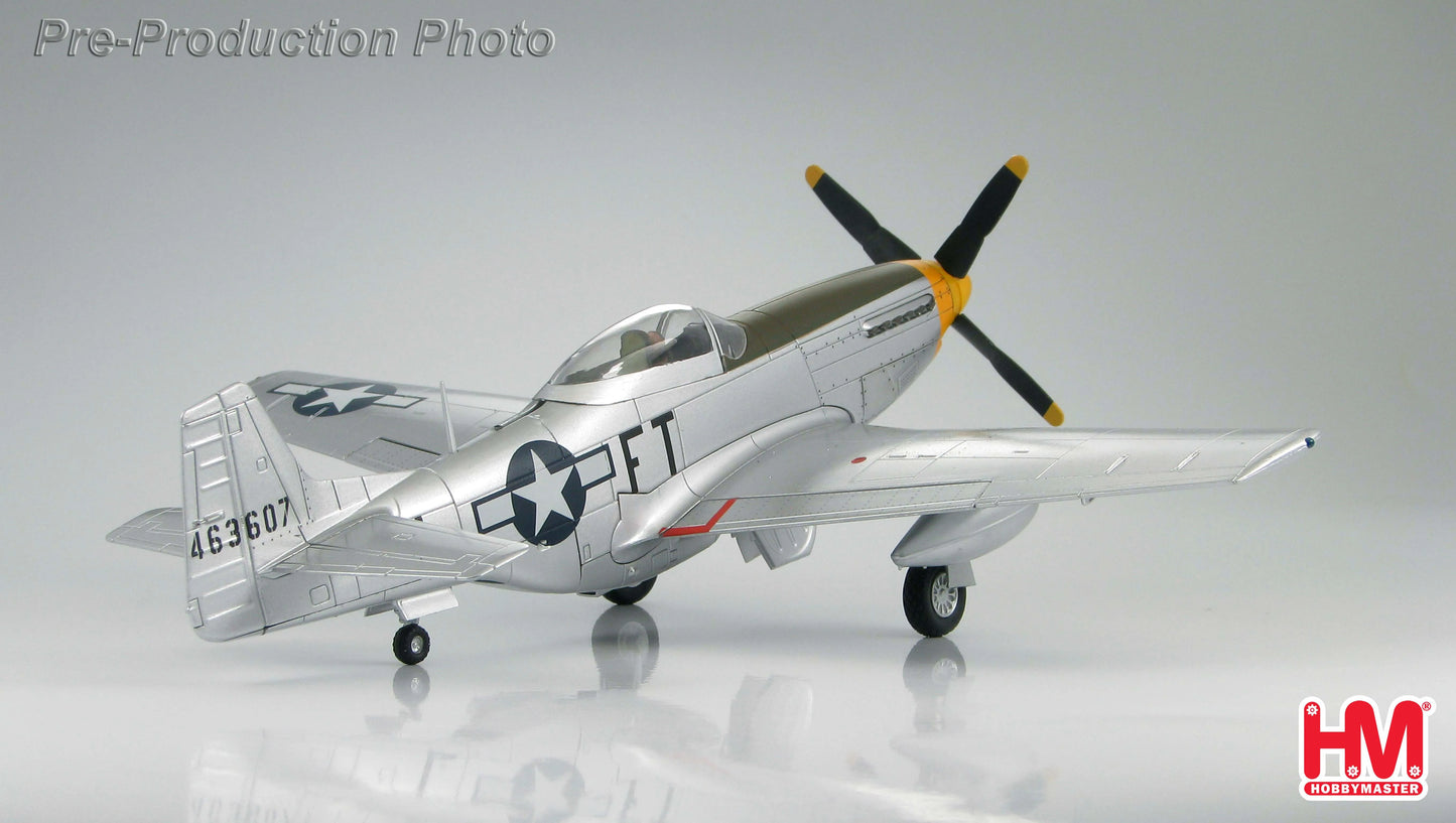 HOBBY MASTER P-51D MUSTANG USAAF 354TH FG