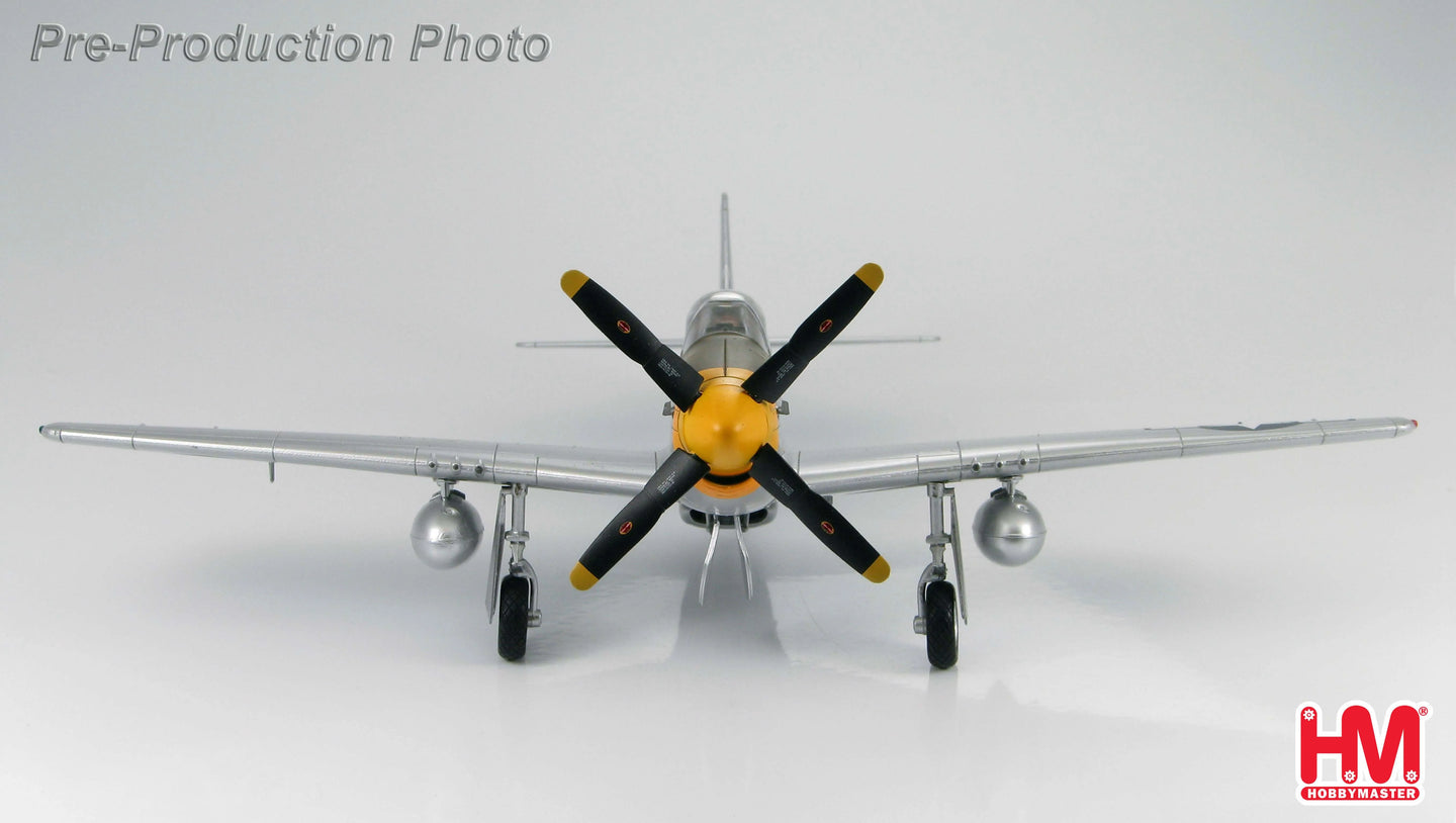 HOBBY MASTER P-51D MUSTANG USAAF 354TH FG