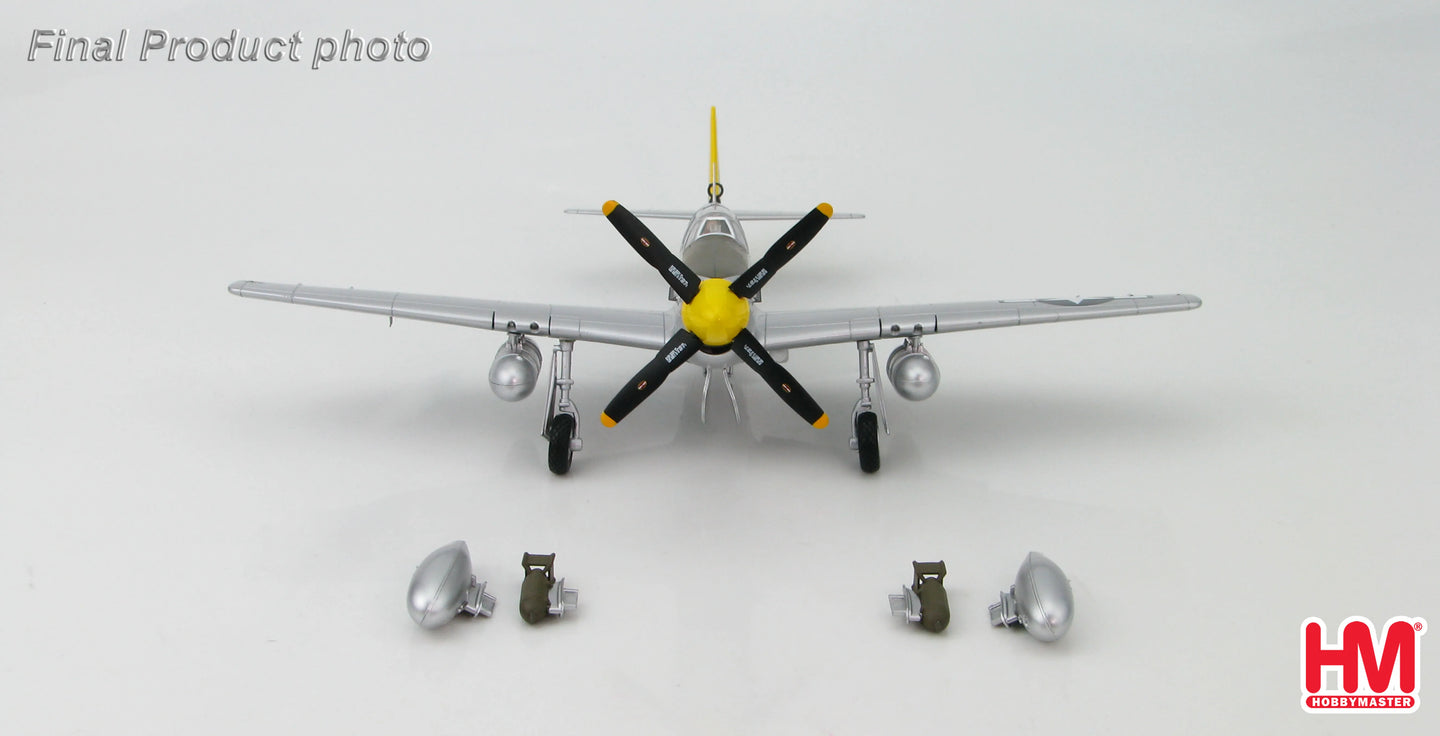 HOBBY MASTER P-51B MUSTANG USAAF LEONARD REEVES CHINA 1945