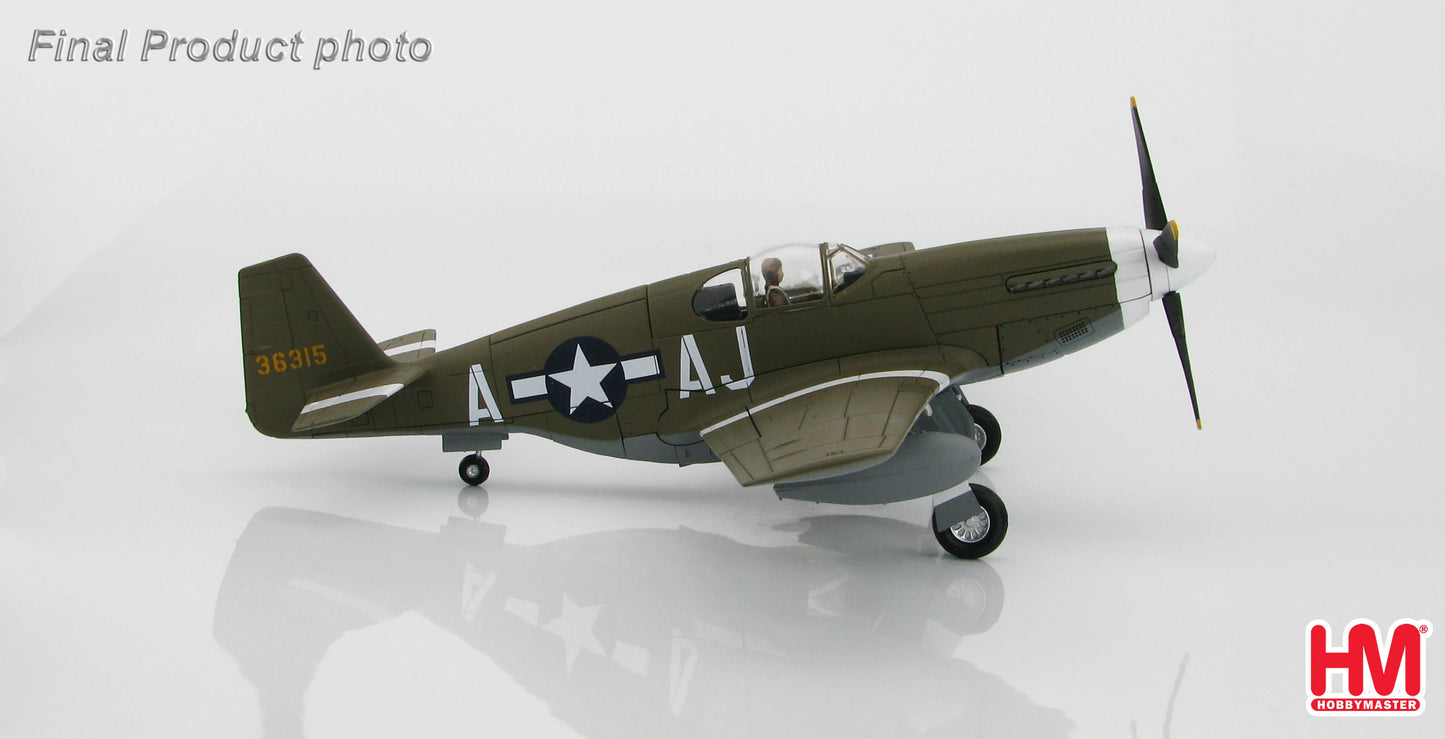 HOBBY MASTER P-51B MUSTANG USAAF JAMES HOWARD