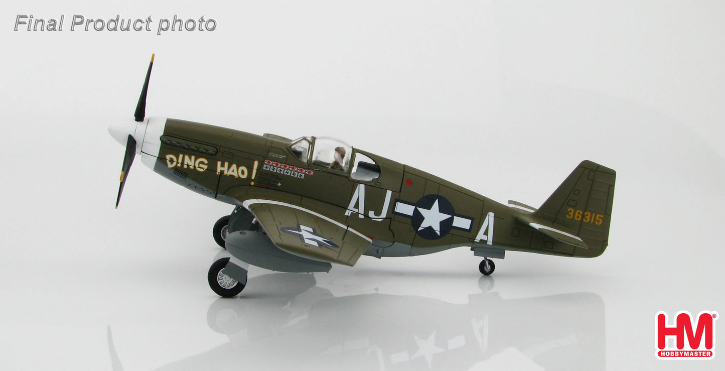 HOBBY MASTER P-51B MUSTANG USAAF JAMES HOWARD
