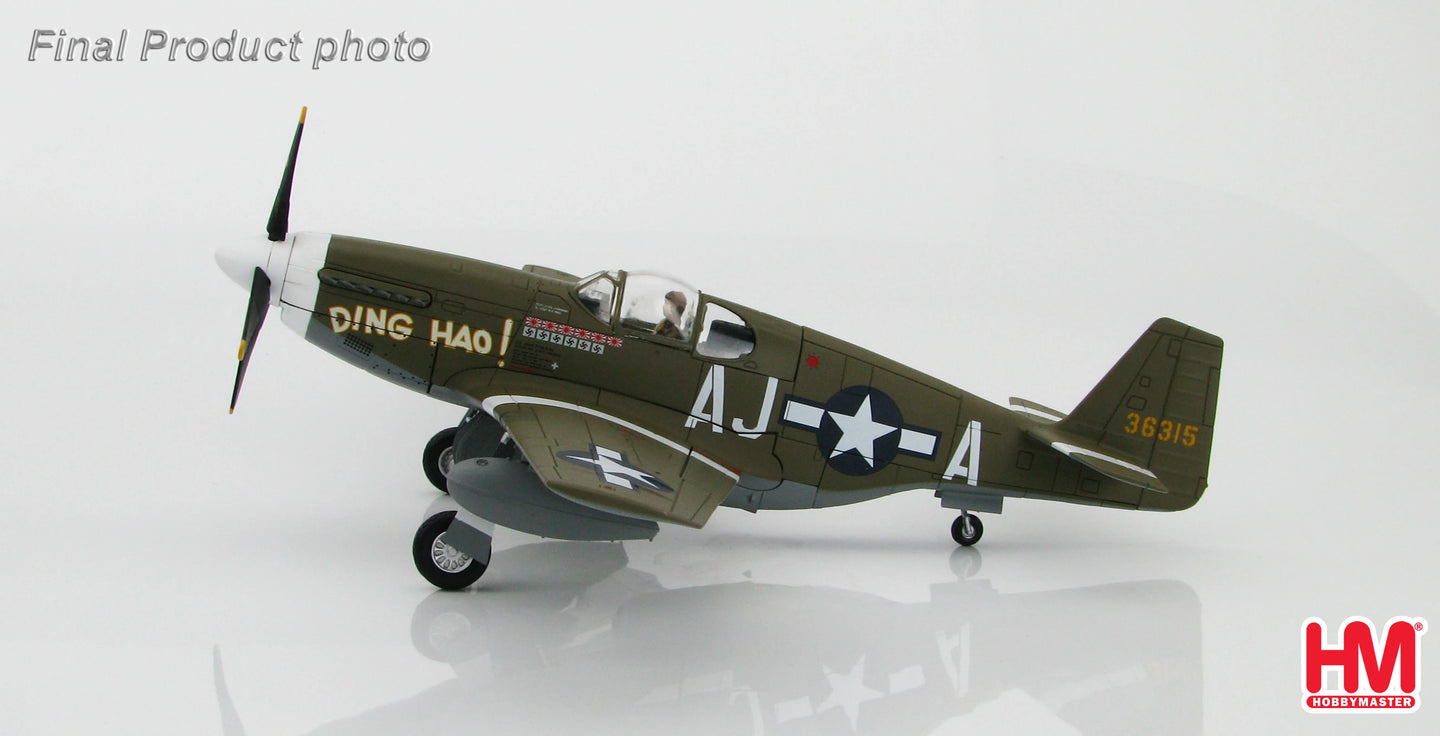 HOBBY MASTER P-51B MUSTANG USAAF JAMES HOWARD