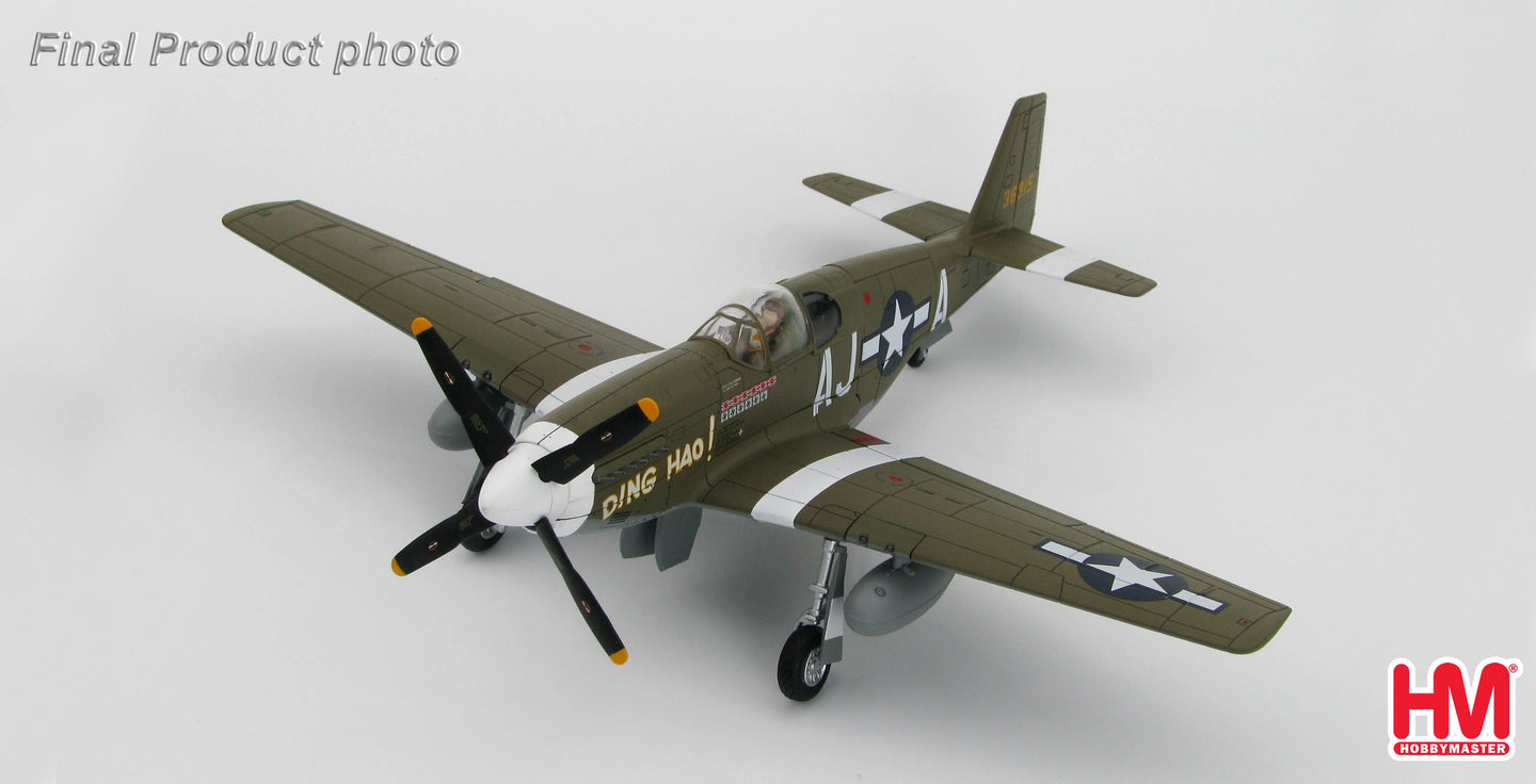 HOBBY MASTER P-51B MUSTANG USAAF JAMES HOWARD