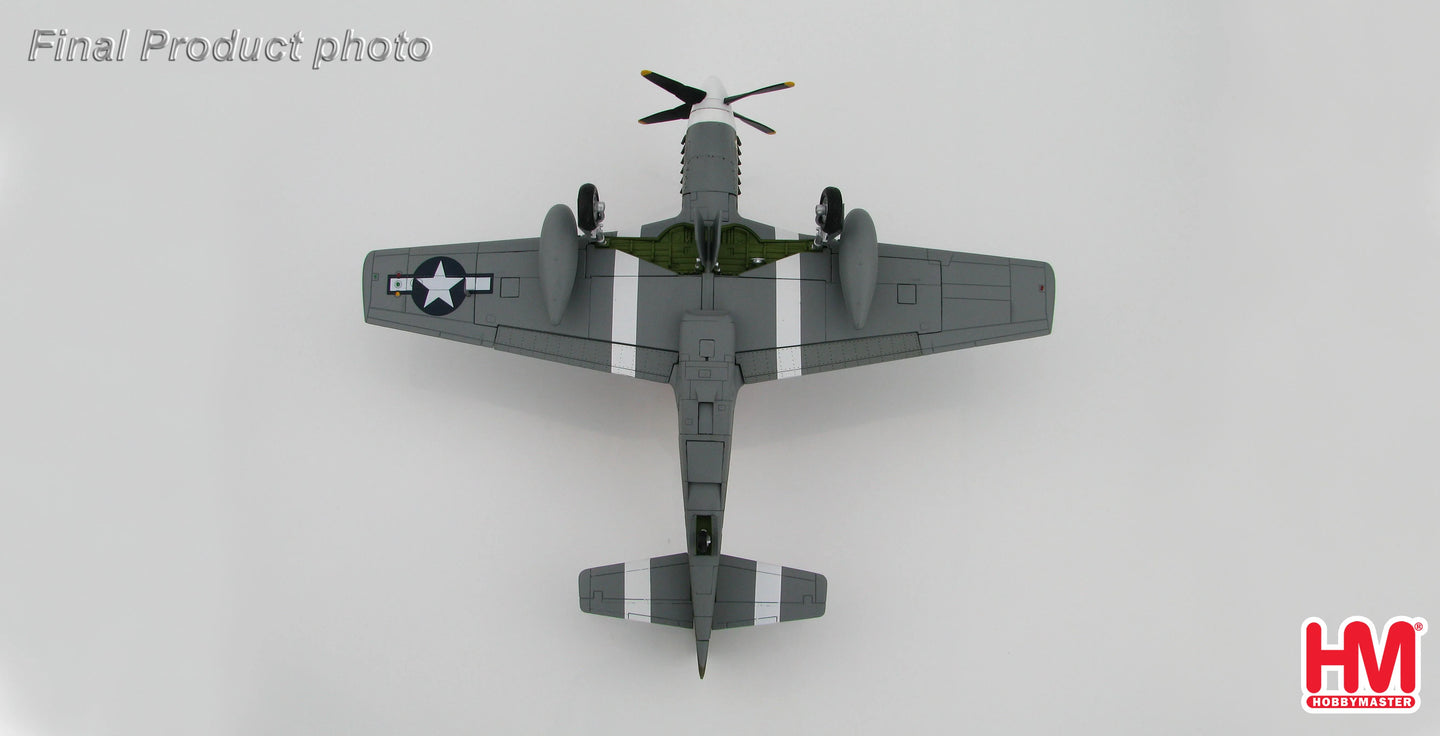 HOBBY MASTER P-51B MUSTANG USAAF JAMES HOWARD