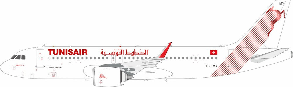 INFLIGHT 200 A320-251N TUNISAIR REG: TS-IMY