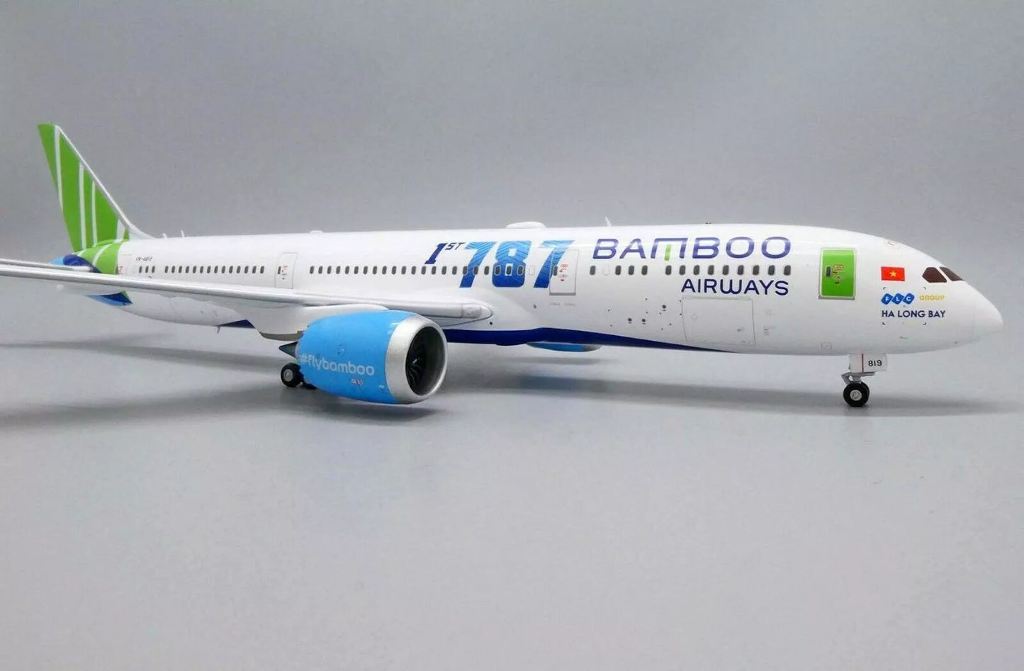 JC WINGS B787-9 DREAMLINER BAMBOO AIRWAYS REG: VN-A819