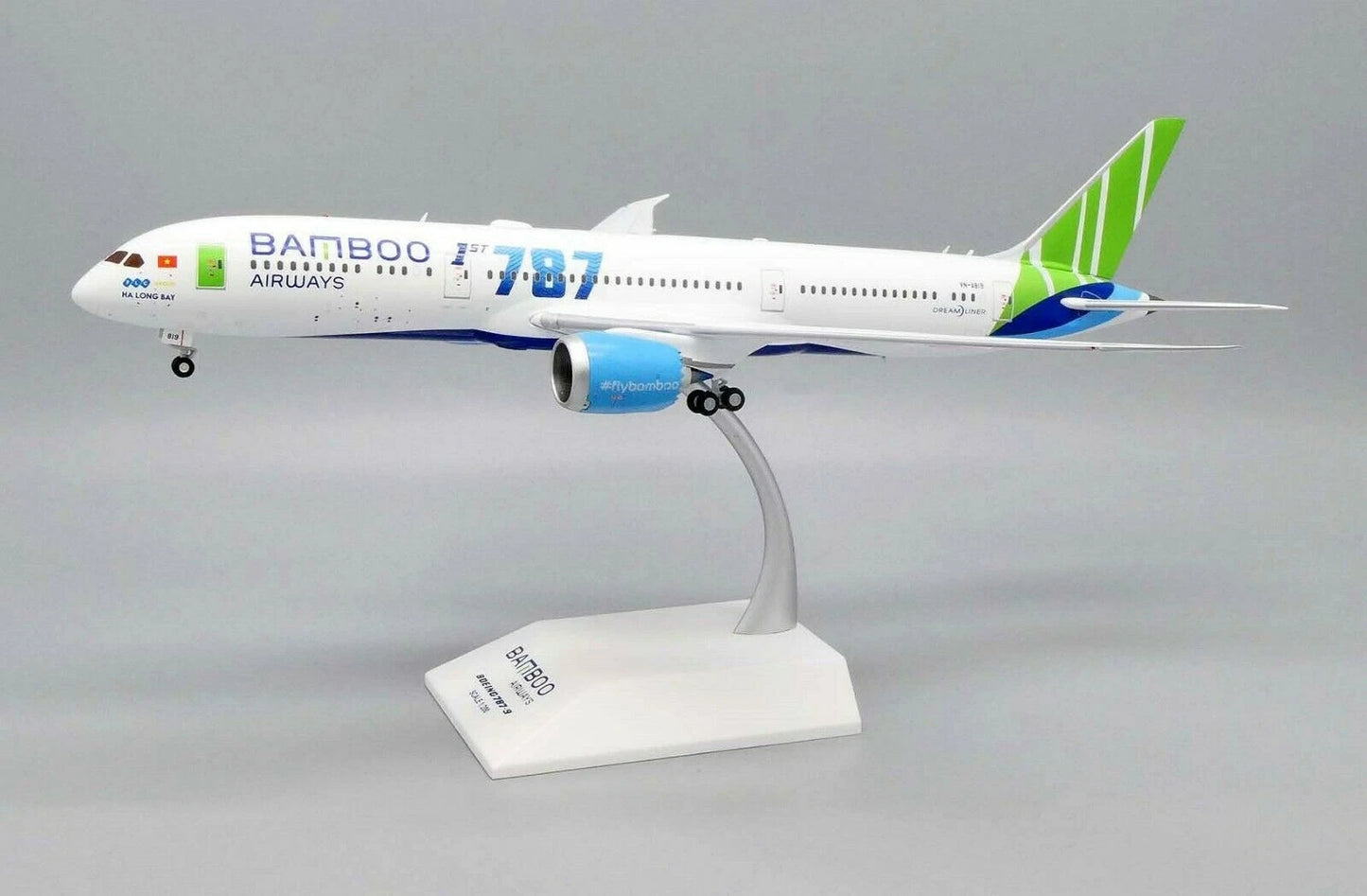 JC WINGS B787-9 DREAMLINER BAMBOO AIRWAYS REG: VN-A819