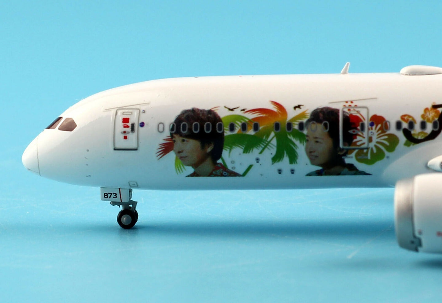 JC WINGS B787-9 JAPAN AIRLINES (JAL) "JAL HAWAII" (FLAPS DOWN) REG: JA873J