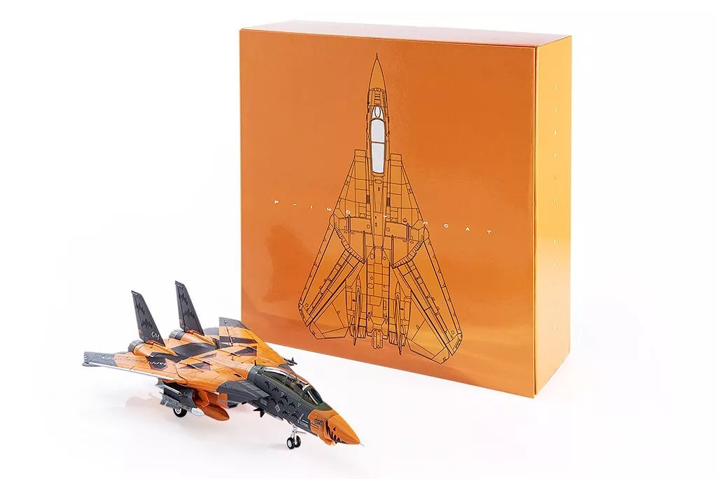 JCWINGS F-14D TOMCAT ACE COMBAT PUMPKIN FACE