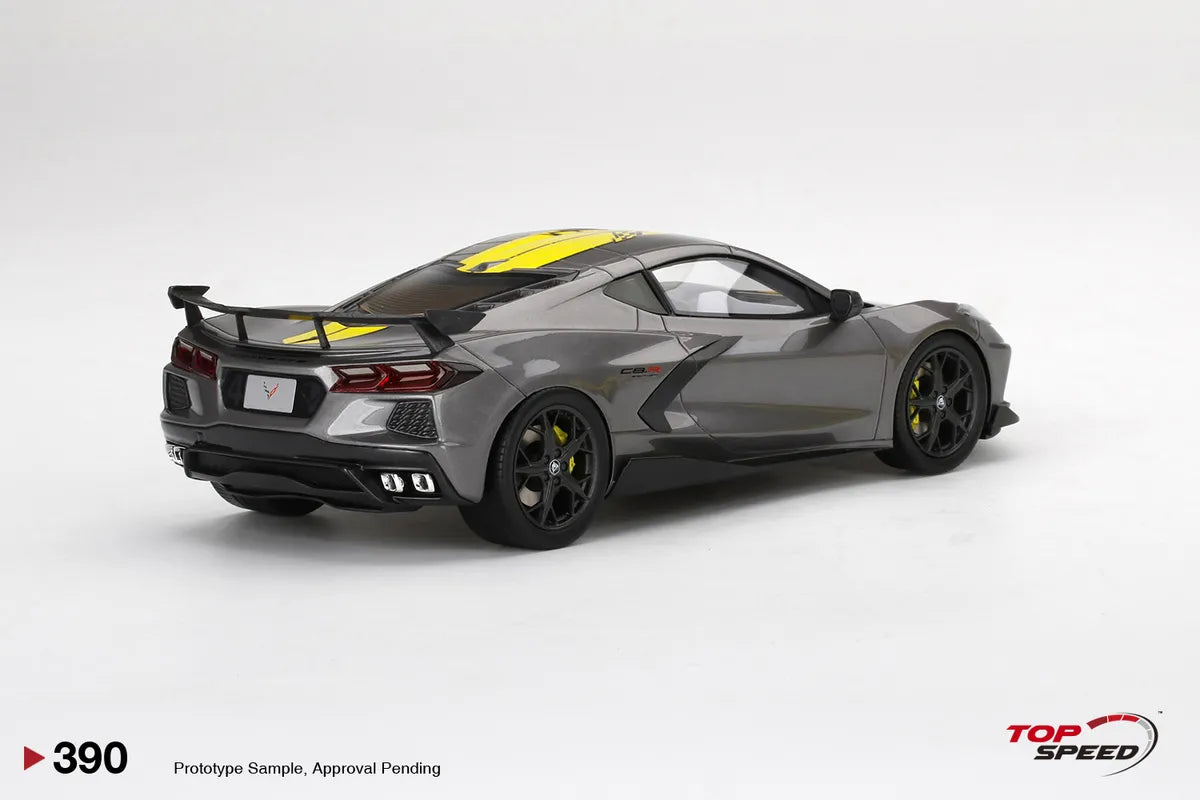 TOPSPEED CORVETTE STINGRAY IMSA GTLM CHAMPIONSHIP EDITION HYPERSONIC GREY