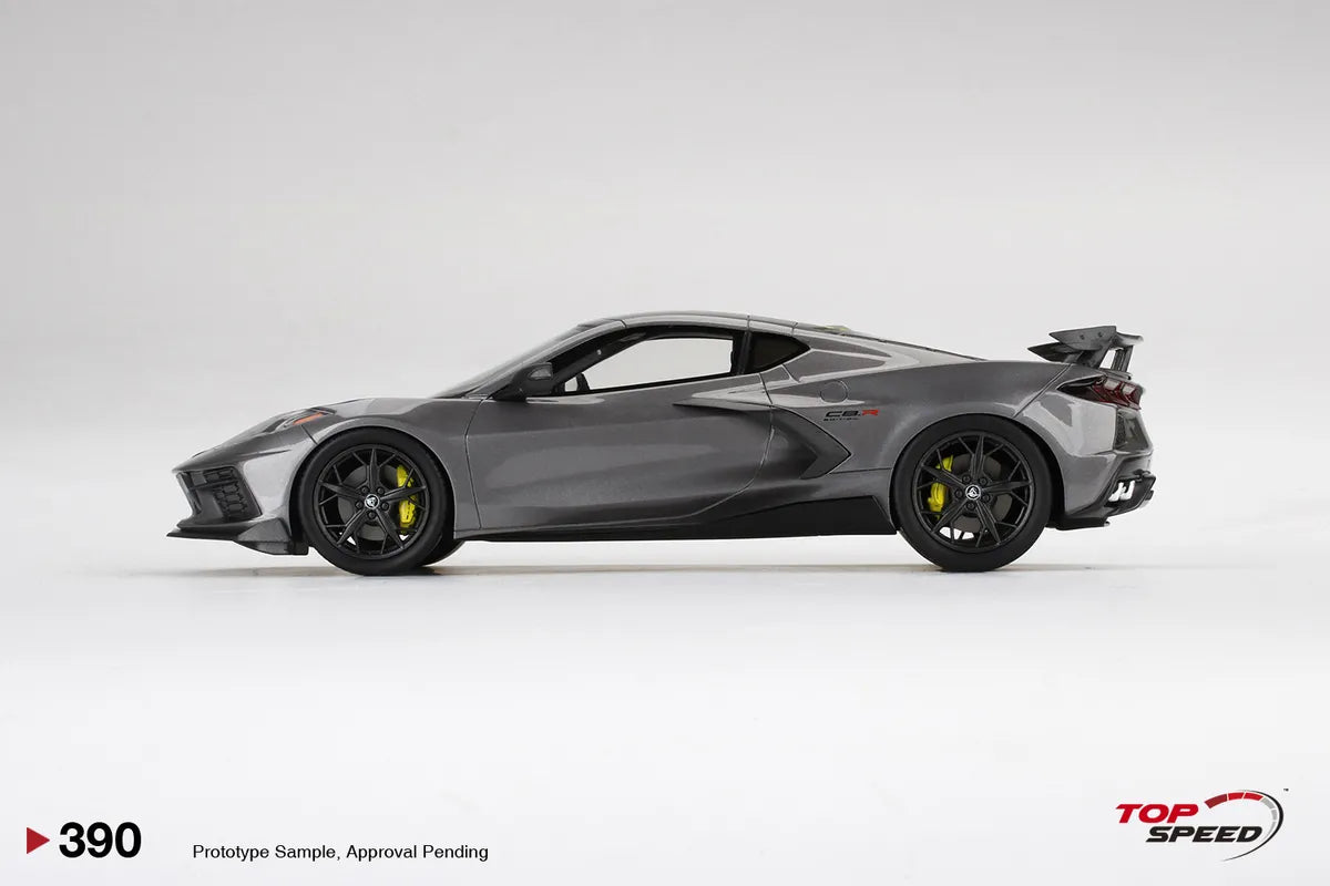 TOPSPEED CORVETTE STINGRAY IMSA GTLM CHAMPIONSHIP EDITION HYPERSONIC GREY