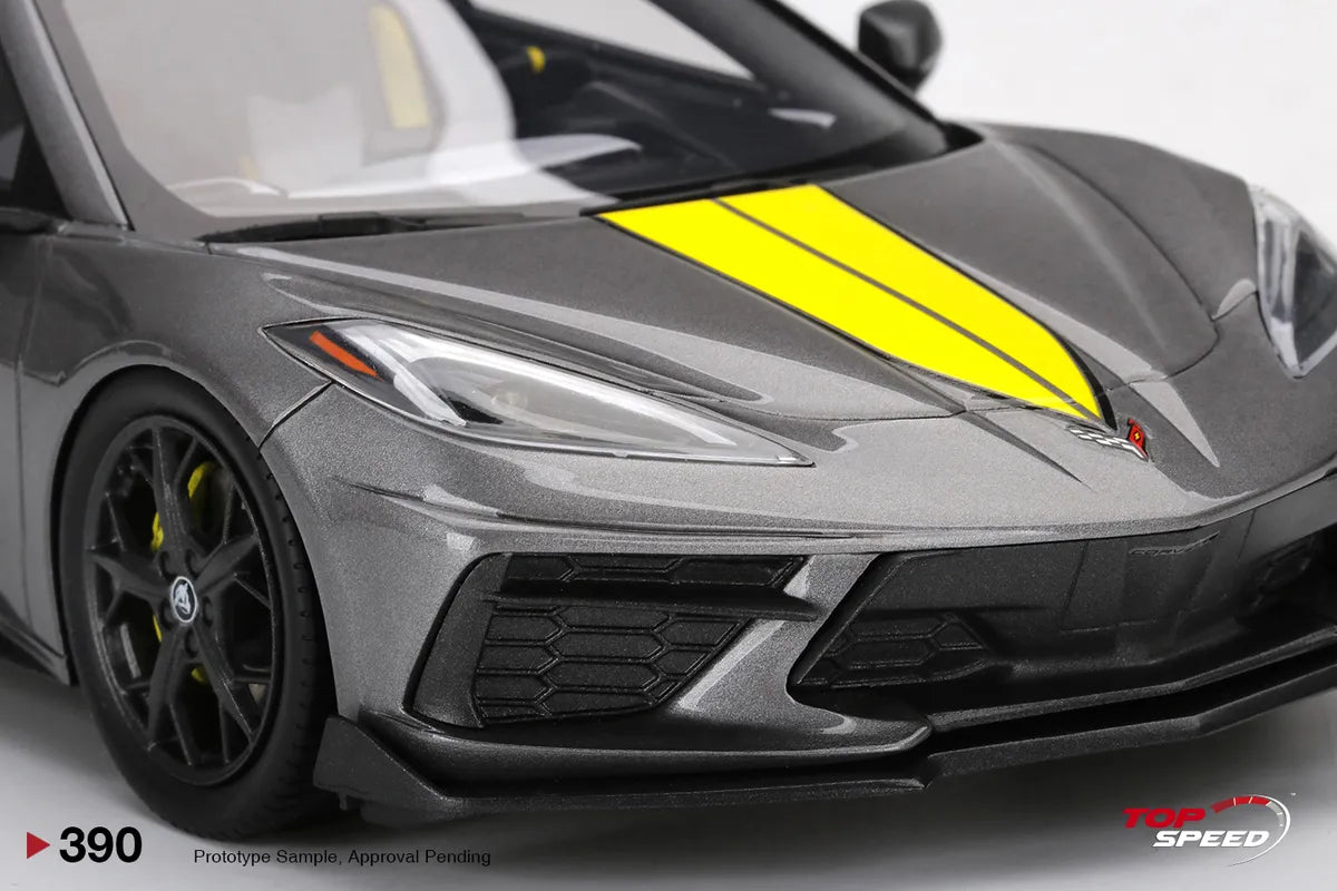 TOPSPEED CORVETTE STINGRAY IMSA GTLM CHAMPIONSHIP EDITION HYPERSONIC GREY