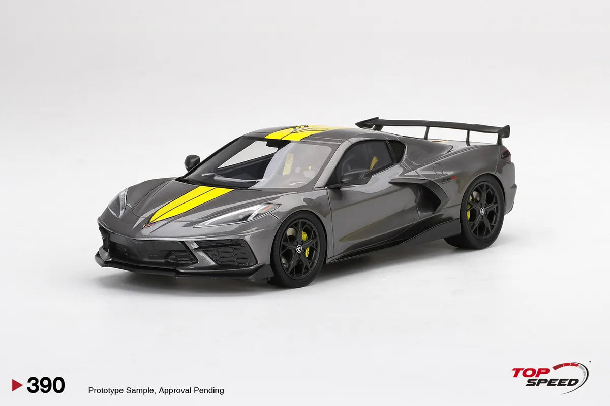 TOPSPEED CORVETTE STINGRAY IMSA GTLM CHAMPIONSHIP EDITION HYPERSONIC GREY